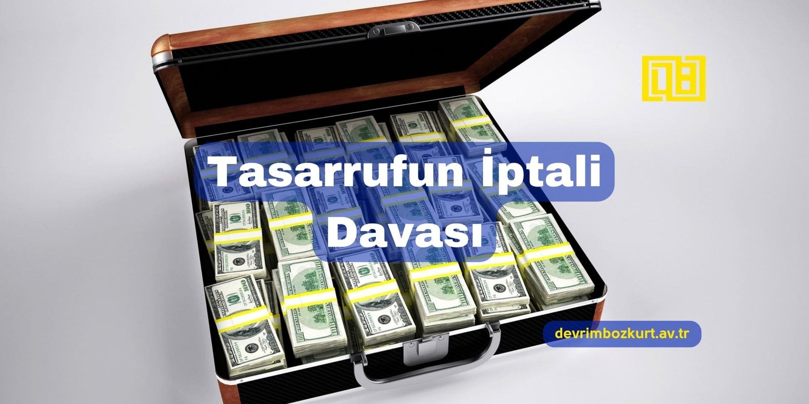 Tasarrufun İptali Davası